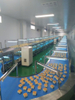 Cooling Conveyor Line