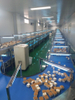 Cooling Conveyor Line