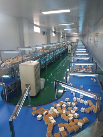 Cooling Conveyor Line